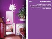 Color: Febrero lluvia púrpura