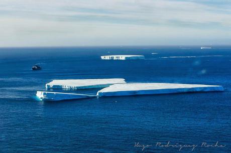 REPERCUSIONES PERIODISTICAS DEL HOMENAJE AL DR. JOSE MARIA SOBRAL