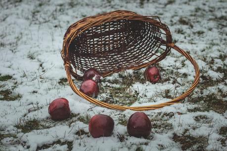 Caperucita y el Lobo: Preboda de J&P