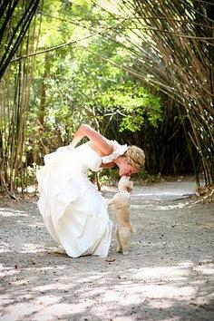 SE ADMITEN MASCOTAS...en mi boda!