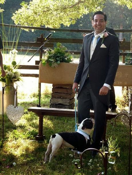 SE ADMITEN MASCOTAS...en mi boda!