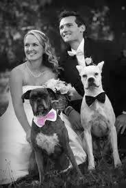 SE ADMITEN MASCOTAS...en mi boda!