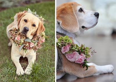 SE ADMITEN MASCOTAS...en mi boda!