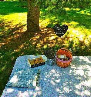 El PicNic Pre Boda de Mireille&Donald