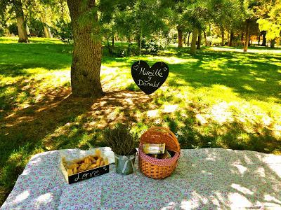 El PicNic Pre Boda de Mireille&Donald