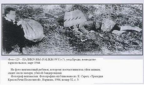 Stepan Bandera, el héroe de Maidán