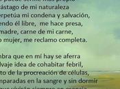 Poesía: mujer vida
