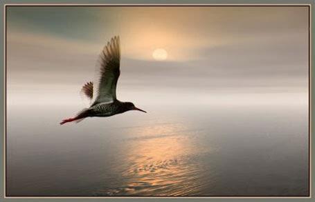 De la vida y sus privilegios