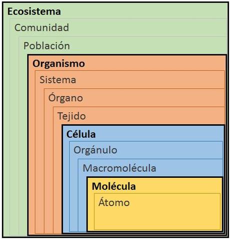 Aproximación al concepto de ser vivo