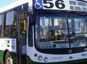 anunció paro total colectivos