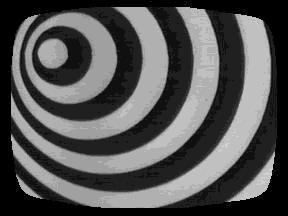 Halloweek: ¿Dónde están todos?