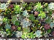 Cómo hacer jardín vertical Primera parte