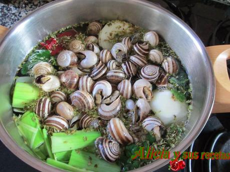 CALDILLO DE CARACOLES