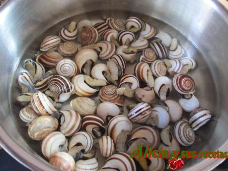 CALDILLO DE CARACOLES