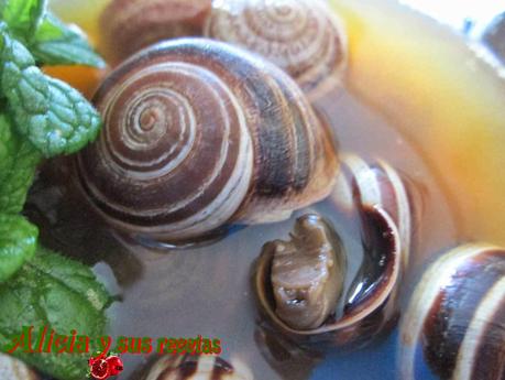 CALDILLO DE CARACOLES