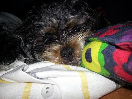 Androidografia Barakaldo 1653