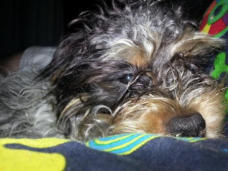 Androidografia Barakaldo 1652