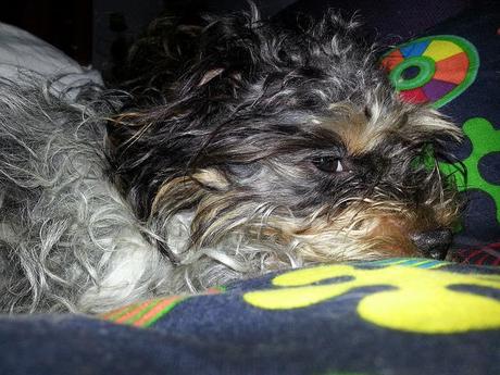 Androidografia Barakaldo 1654