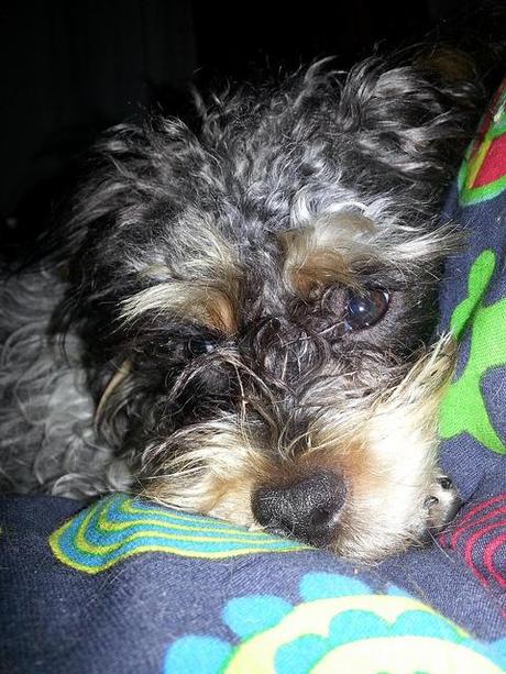 Androidografia Barakaldo 1655