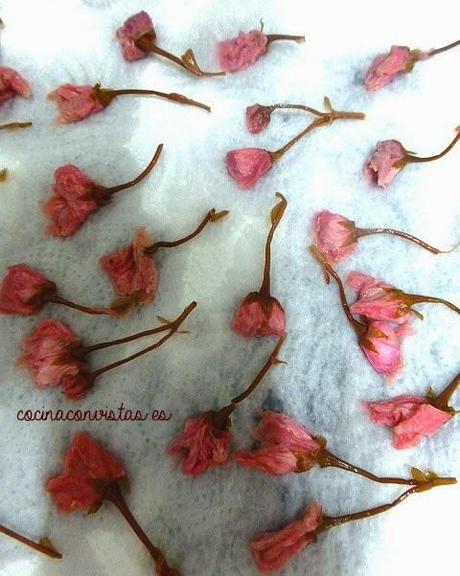 Sakura: Galletas de Flor de Cerezo