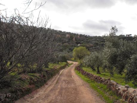 Colaboraciones de Extremadura, caminos de cultura: Convento de San Onofre, en La Lapa, en la Lista Roja del Patrimonio