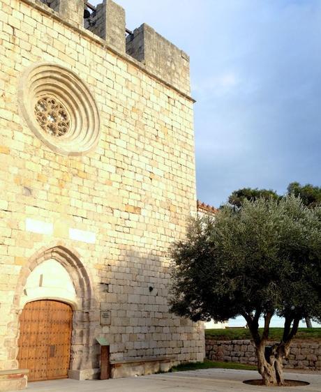 Disfrutando del Domingo Disfrutando del Domingo