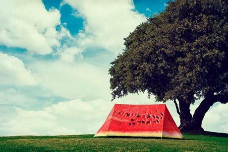 ¿NOS VAMOS DE ACAMPADA?