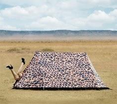 ¿NOS VAMOS DE ACAMPADA?