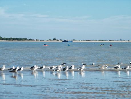 Sábado de Sensaciones