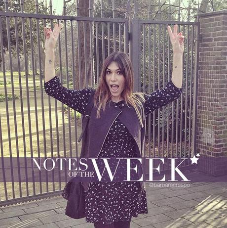notes of the week barbara crespo tumblr social media instagram youtube instavideo
