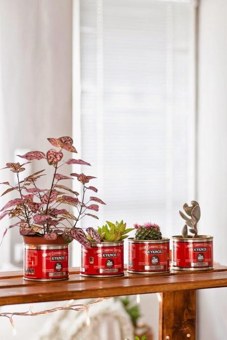 MACETEROS IMPROVISADOS