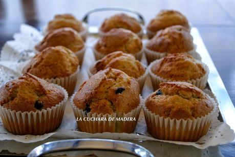 MAGDALENAS CON DIFERENTES RELLENOS