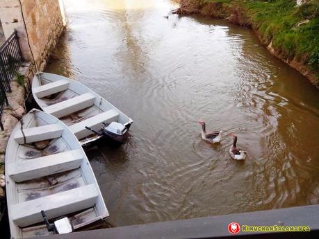 Viaje a Zamora / サモーラ旅行
