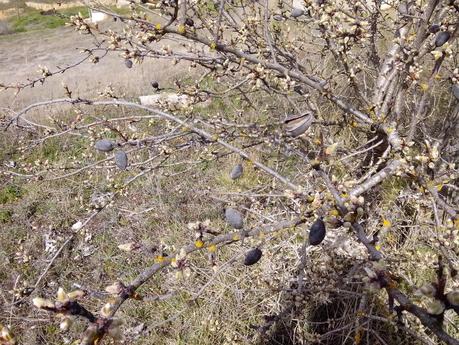 Viaje a Zamora / サモーラ旅行