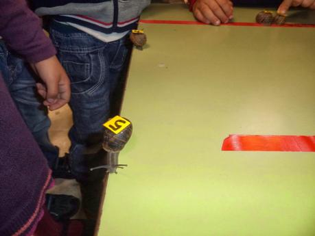 CARACOLES A LA CARRERA