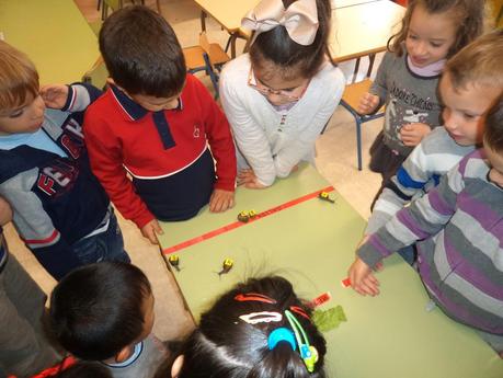 CARACOLES A LA CARRERA