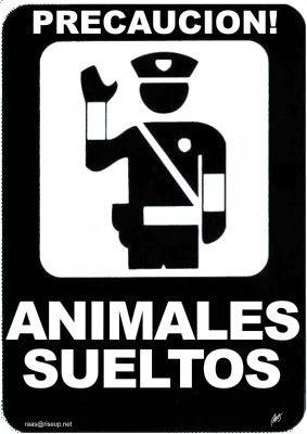 Fiscalía Menores intervendrá joven arbitro agredido León pierde ánimo: próxima semana quiero arbitrar