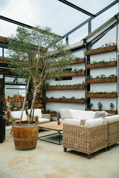 Blueberry Café | Gardenista