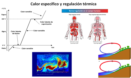 Los niveles de organización subcelulares: bioelementos y biomoléculas inorgánicas
