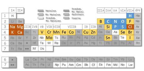 Los niveles de organización subcelulares: bioelementos y biomoléculas inorgánicas