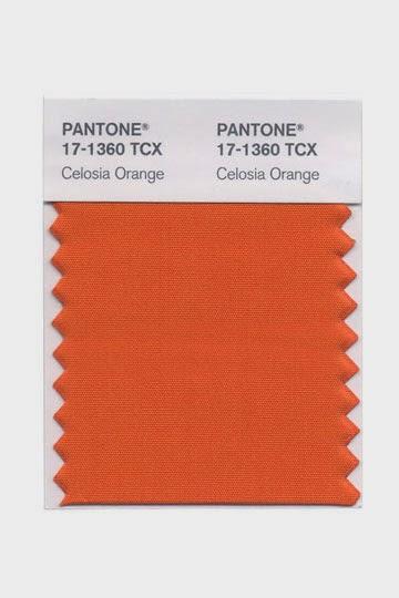 Colores de Primavera 2014