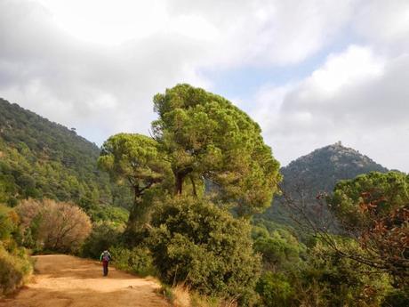 Cabrils - Turó de l'infern - Creu de Montcabrer - Castell de Burriac - Roca d'en Toni - Vilassar de Mar