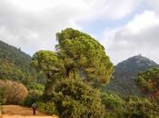 Cabrils Turó l'infern Creu Montcabrer Castell Burriac Roca d'en Toni Vilassar
