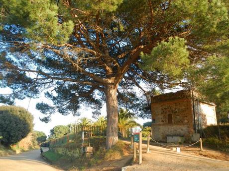 Cabrils - Turó de l'infern - Creu de Montcabrer - Castell de Burriac - Roca d'en Toni - Vilassar de Mar