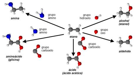 Las biomoléculas orgánicas