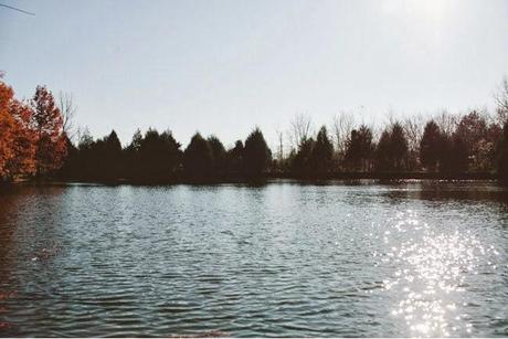 Sesion de Fotos Novios ♕♕: Una acampada romántica