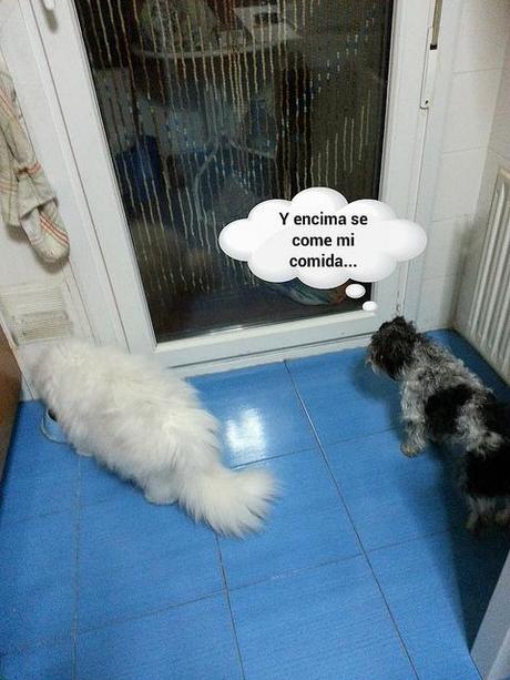 estamos tan agustito