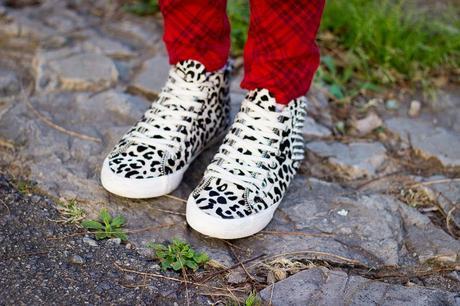 Simplicity Simplicity