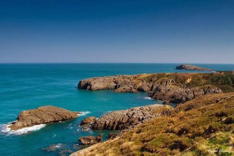 Los buitres que volaban sobre la mar