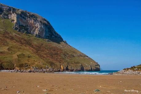 Los buitres que volaban sobre la mar